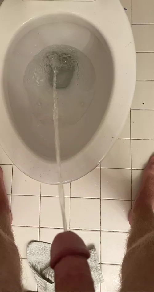 Midnight piss by Moist_Temperature_92