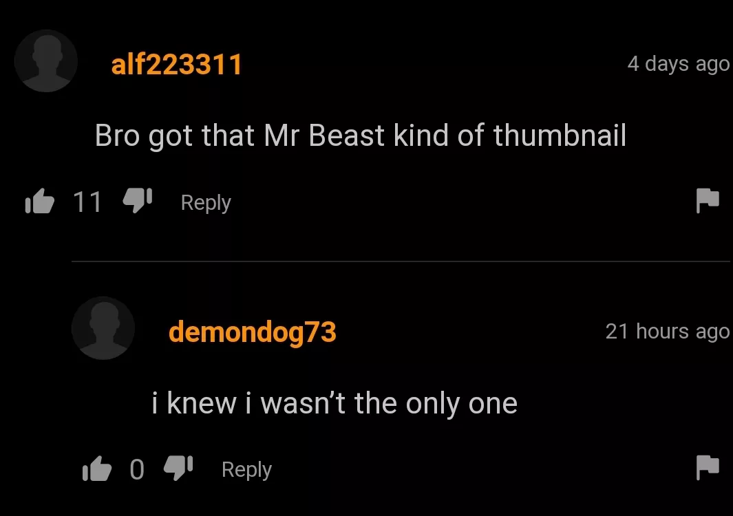 The thumbnail was as good as Mr. Beast's thumbnails. posted by QueenDiva_UwU