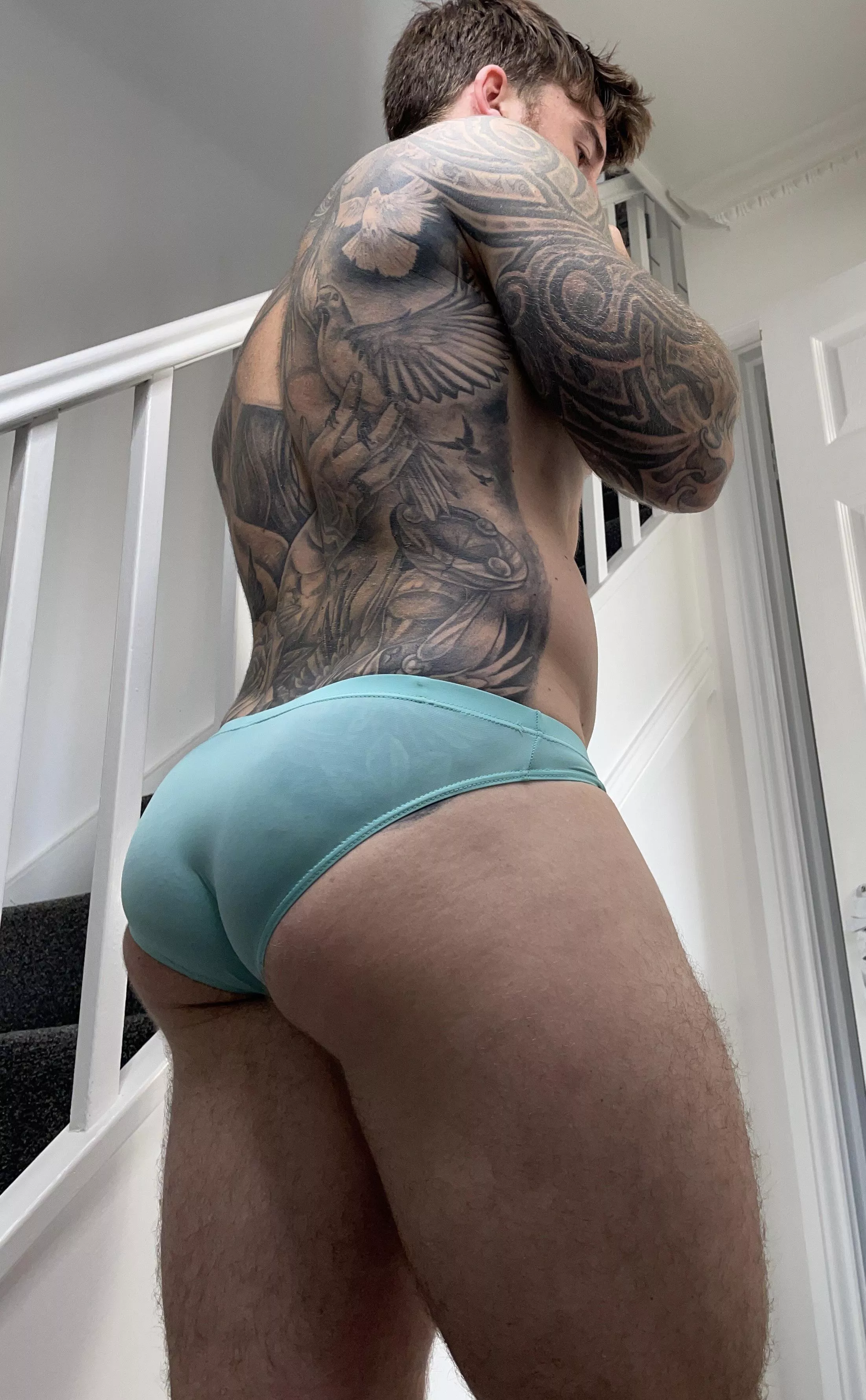 These briefs are holding it all together posted by Hatts_17