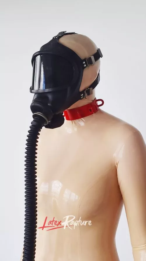 This is some of the craziest content I have ever produced. This is before I get packaged up completely by LatexRapture