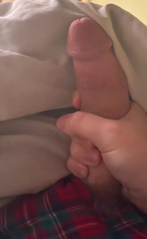 22 Craving cock by KoalaKuma420