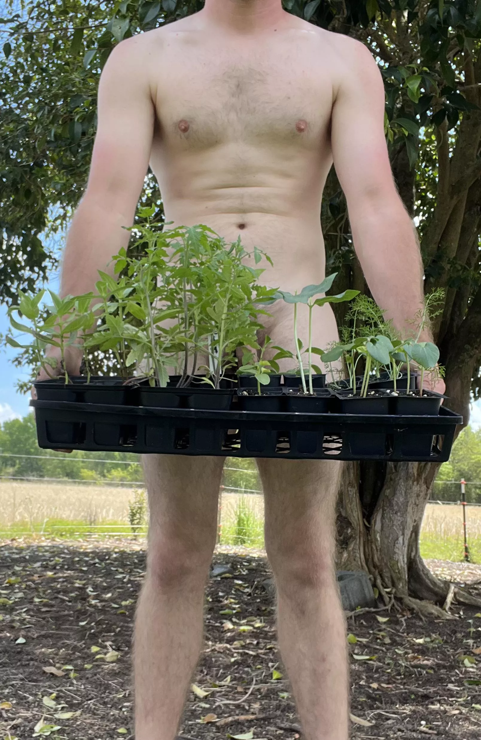 Anyone wanna help plant? posted by jay_ky1992