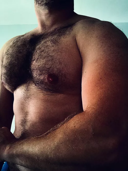 ape 🦍 chest by chepuey