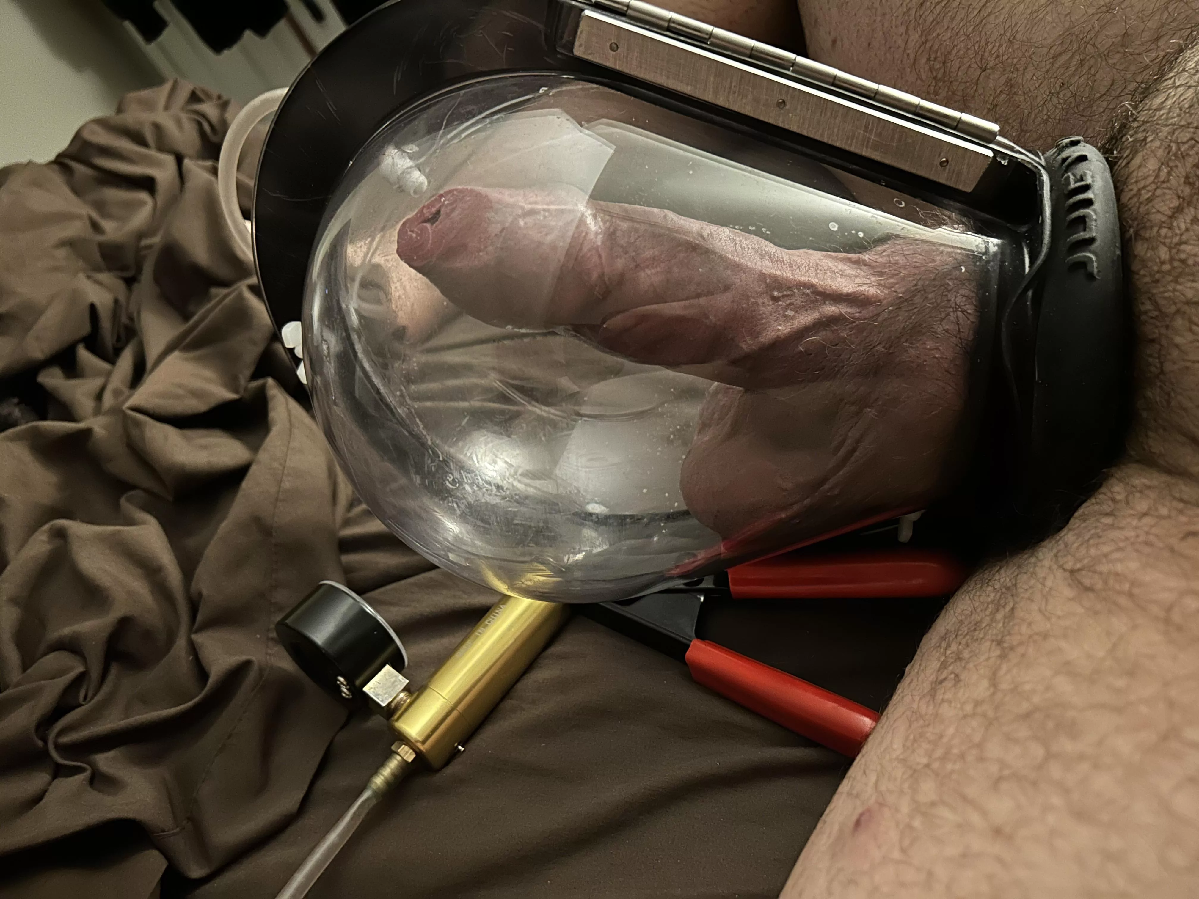 Been a while. Gonna pump the hell outta my cock and balls. posted by nexusnetdestroyer