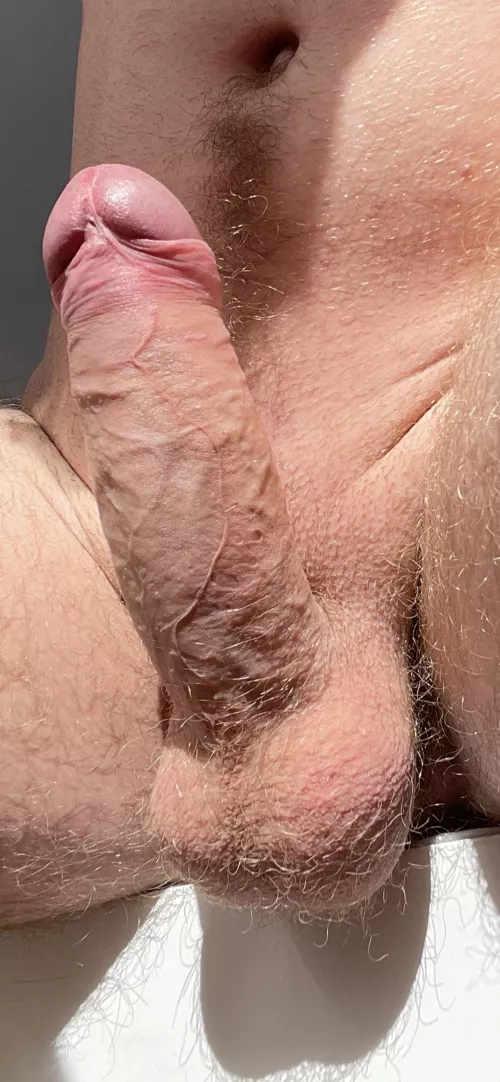 Before I shaved them by National_Arm9398