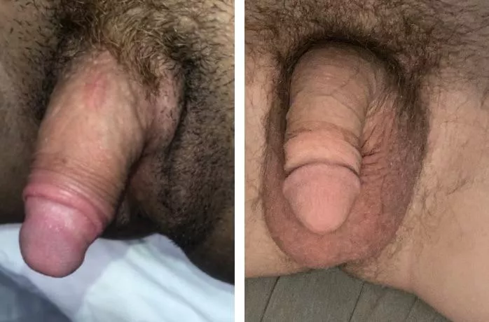 Clit outsizes cock posted by viciousmisquito