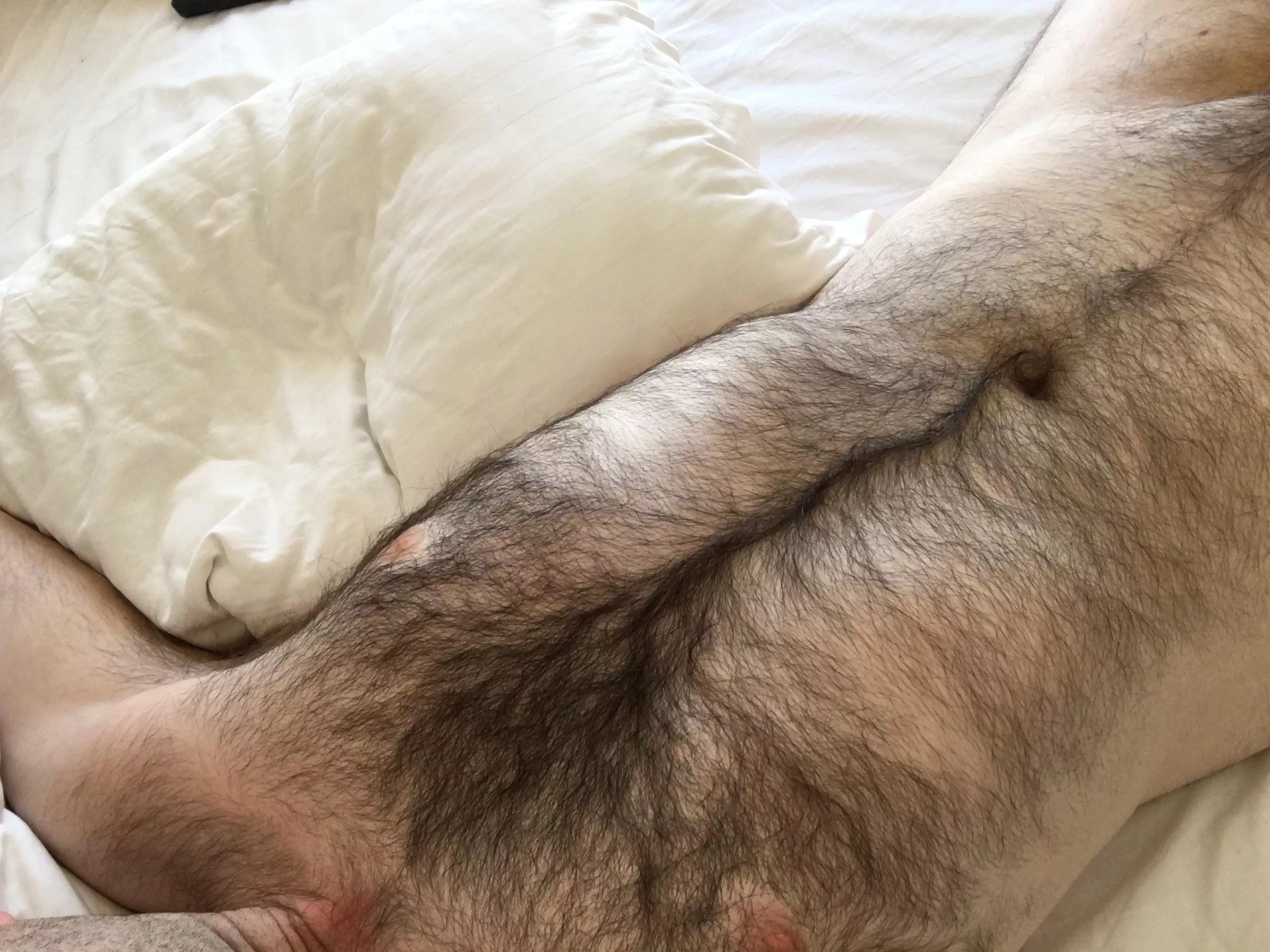 Despite today being the last full day of my short holiday, I really struggled to get out of bed this morning. posted by Richardse110