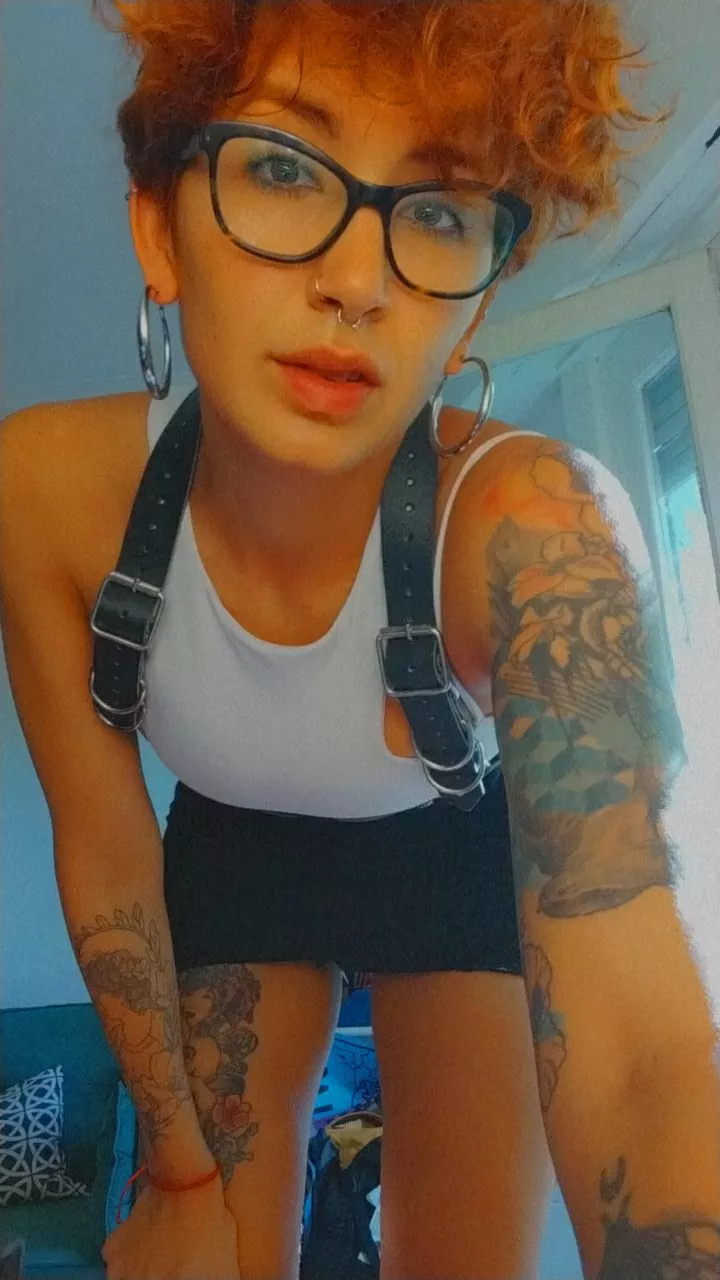 Don't let my angel face fool you posted by tamarathefox