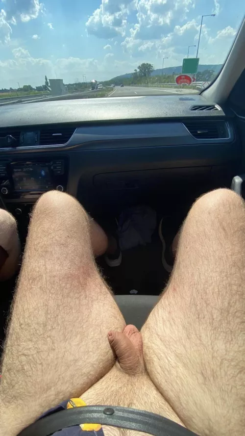 Enjoying The ride by my_thirsty_sidekick