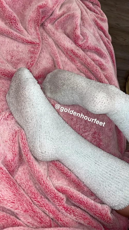 Fuzzy, smelly & sweatyyyy😈 [selling] by goldenhourfeet
