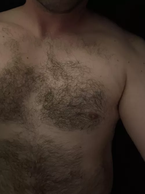 Getting Comfortable by mountainfurr