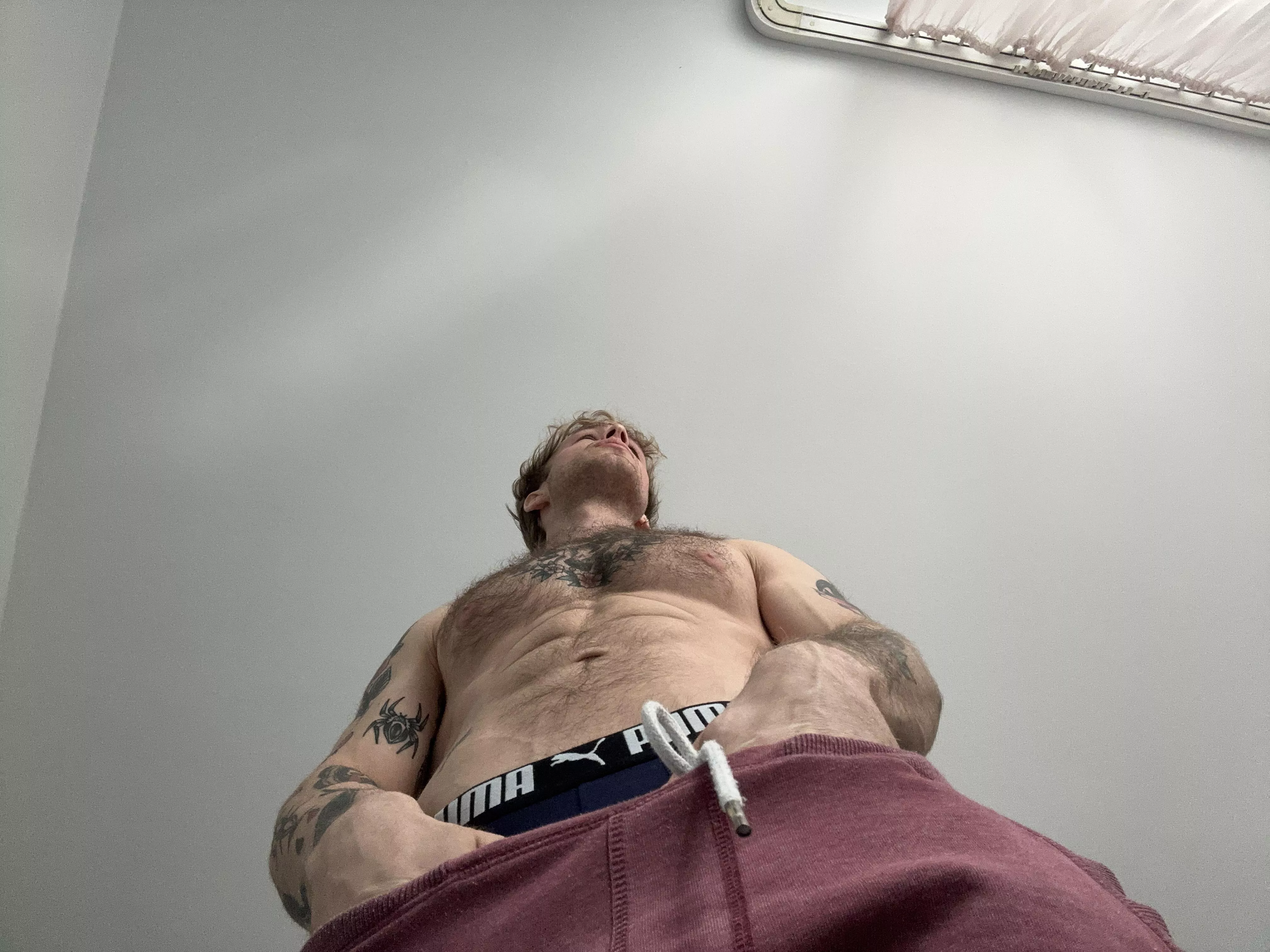 Had a staring contest with my neighbor posted by haael12