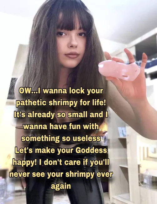 I will never give you permission again by Broad_Lawrence