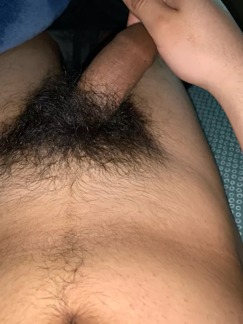 Pubes hairy af, what do you guys think ? by 17901Apo