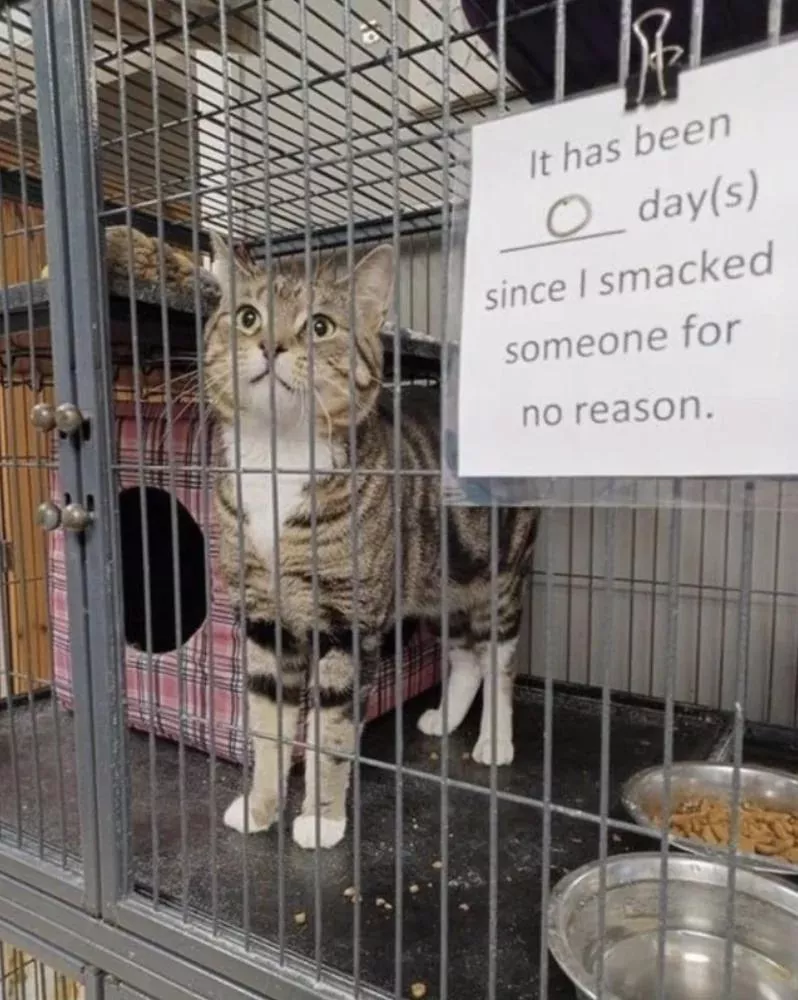 Reminds me of when I was put in a cage at a fetish club by benn8002