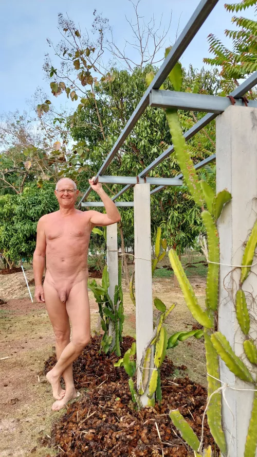 Saturday in my garden by znarf-fesoj