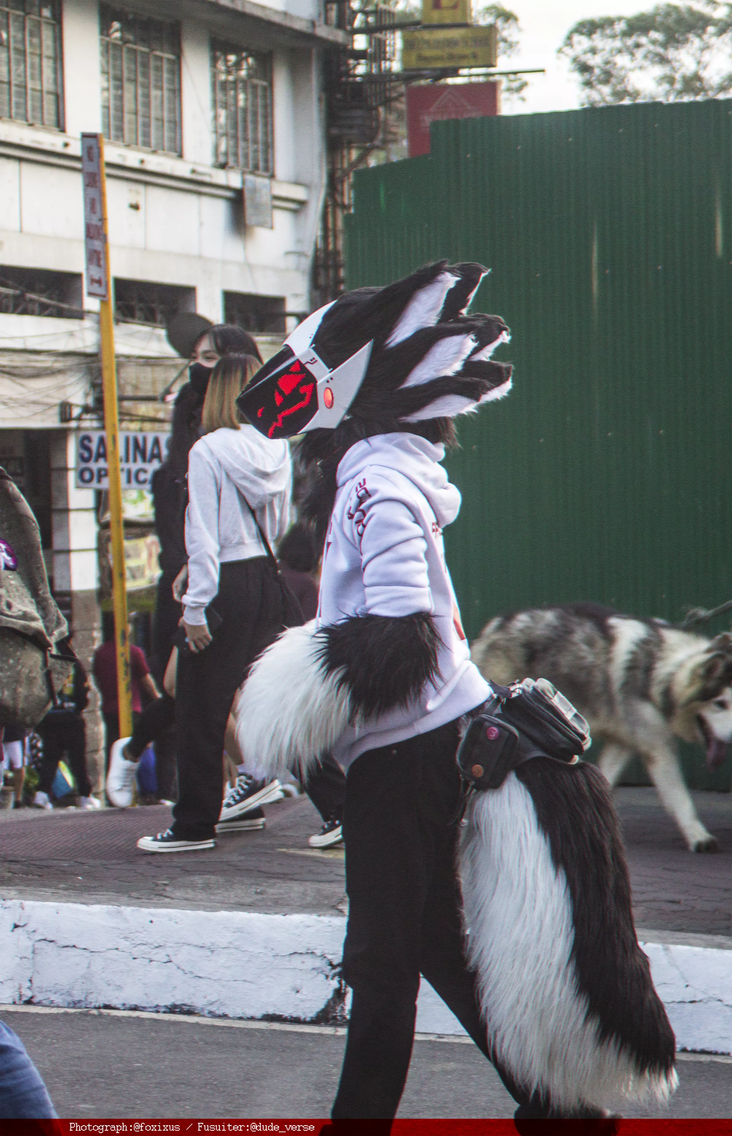 Sunny around town! ( photograph by @FoxixusArt - twitter / Suiter @dude_verse - Twitter) posted by Dude_Verse