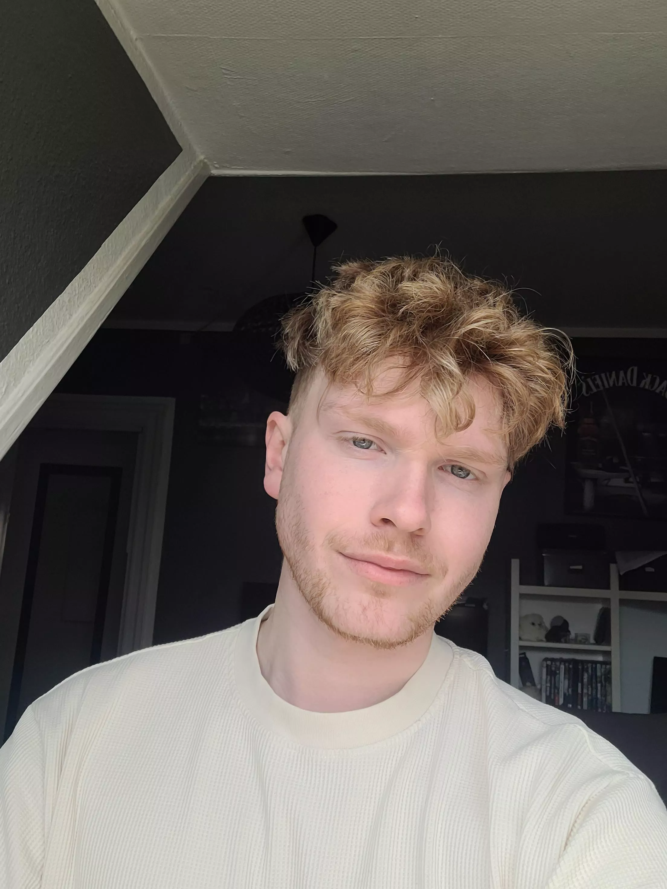 This ginger boi is all ready to conquer the day! posted by Newoly22