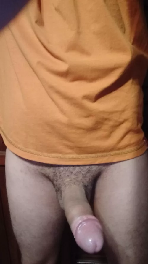 Who wants to ride me? by donfeca