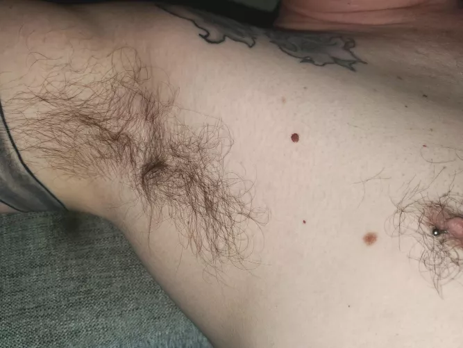 [56] come sit next to dad by AppropriateCamel8867