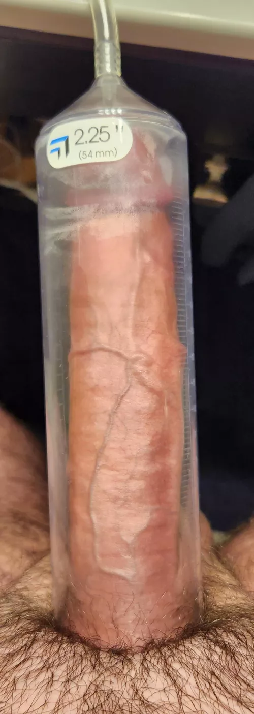 Am I using the right sized tube? Looking for girth gains only. by Shelikesgirth