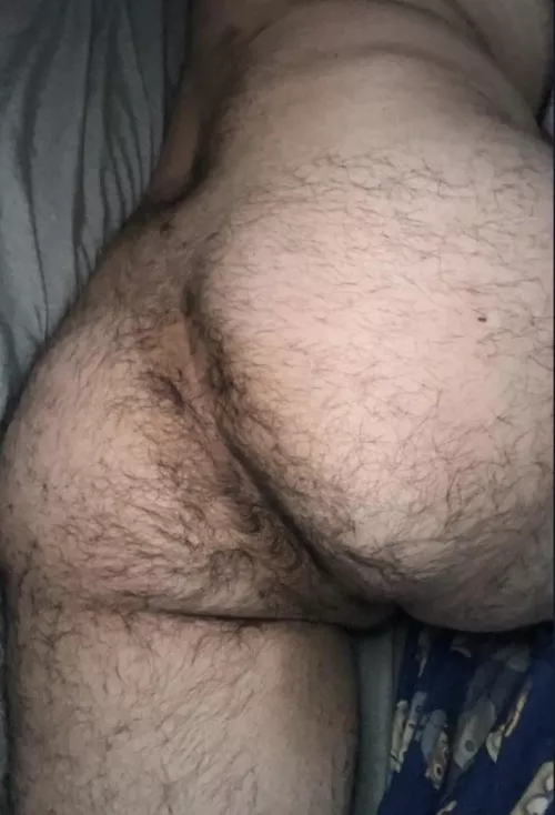 Any guys into hairy ass? by Admirable_Two2579