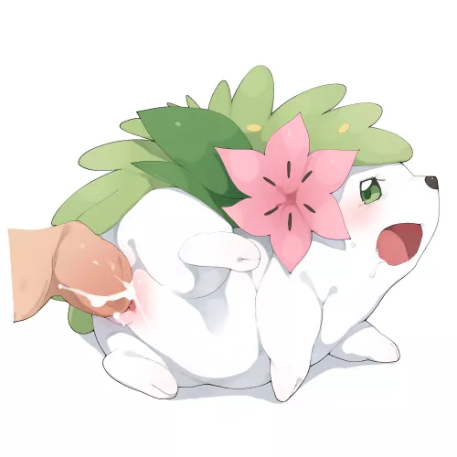 April 13 is Shaymin Day [F] (Youjoumodoki) by QHDEosanesis