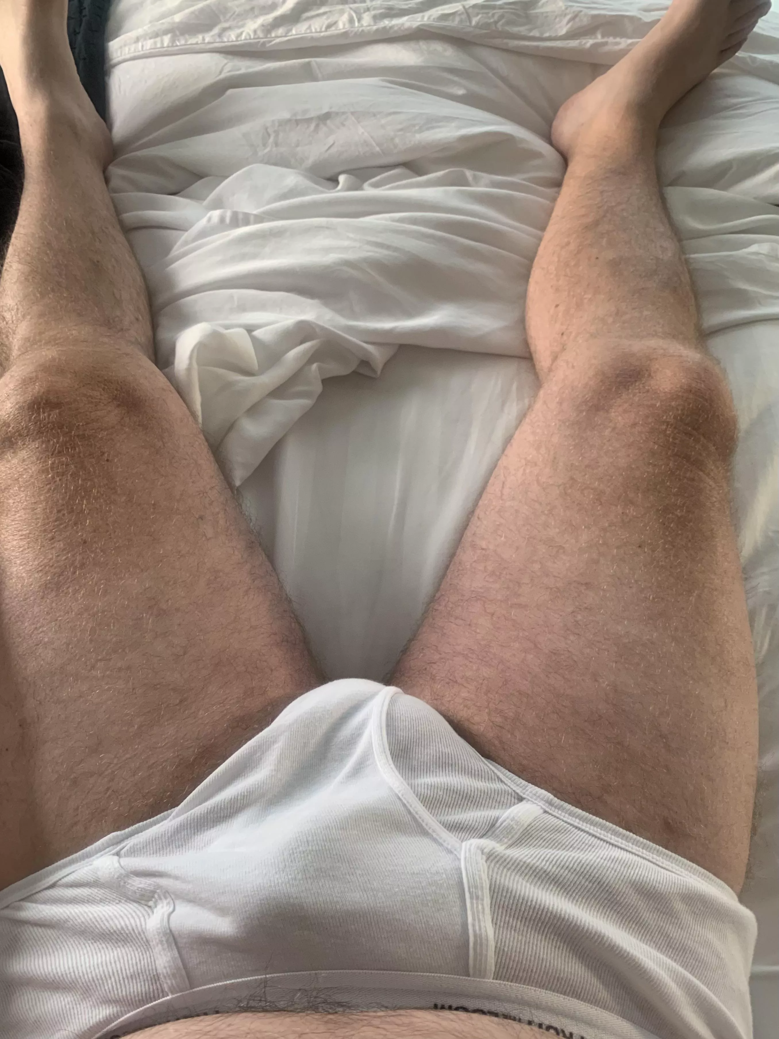 Chillin’ in my briefs this morning posted by oriole8