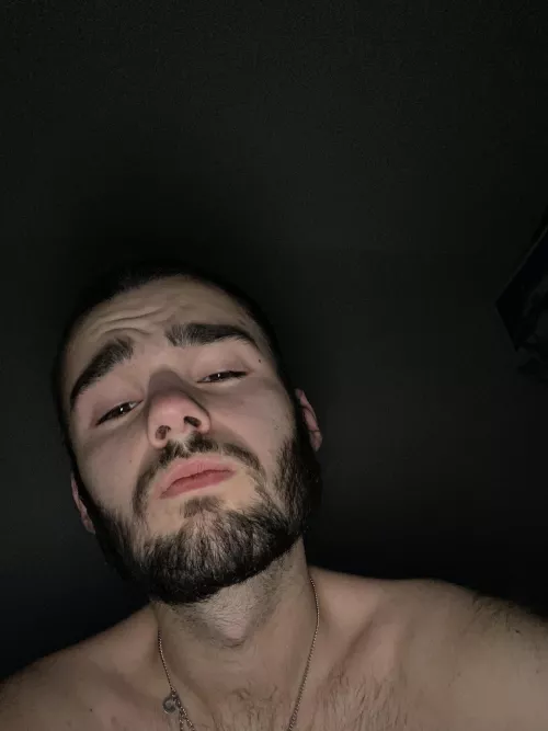 It’s cuddle time. Soo stop what you’re doing and get here. by AdditionalProcess776