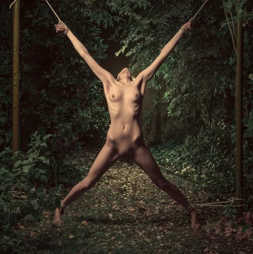 out in the open posted by Some____Person