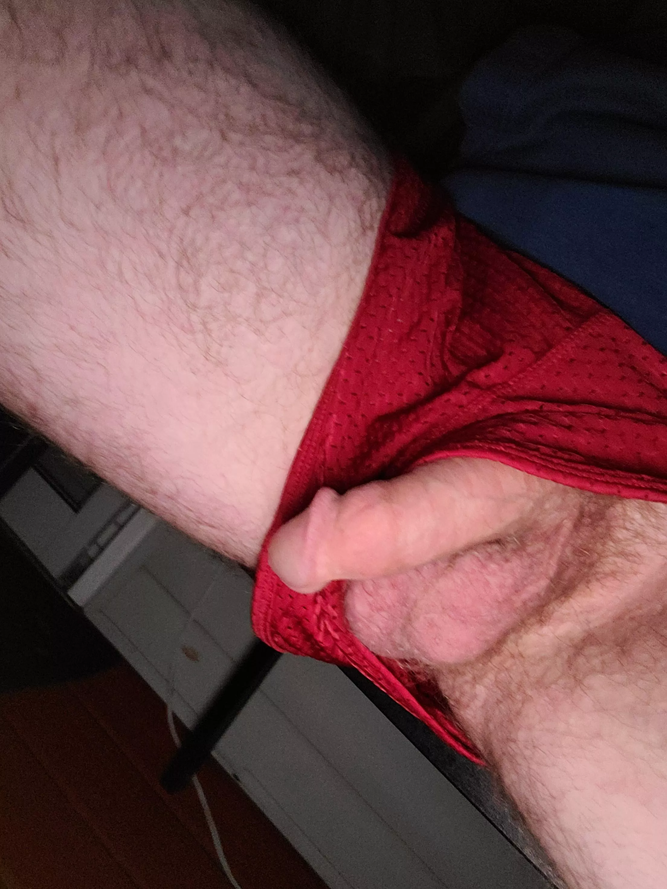 Sharing my softie with the neighbors posted by commandogamedev