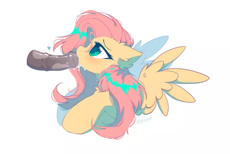 Shy [MF] (Velsea) by Kjzfx