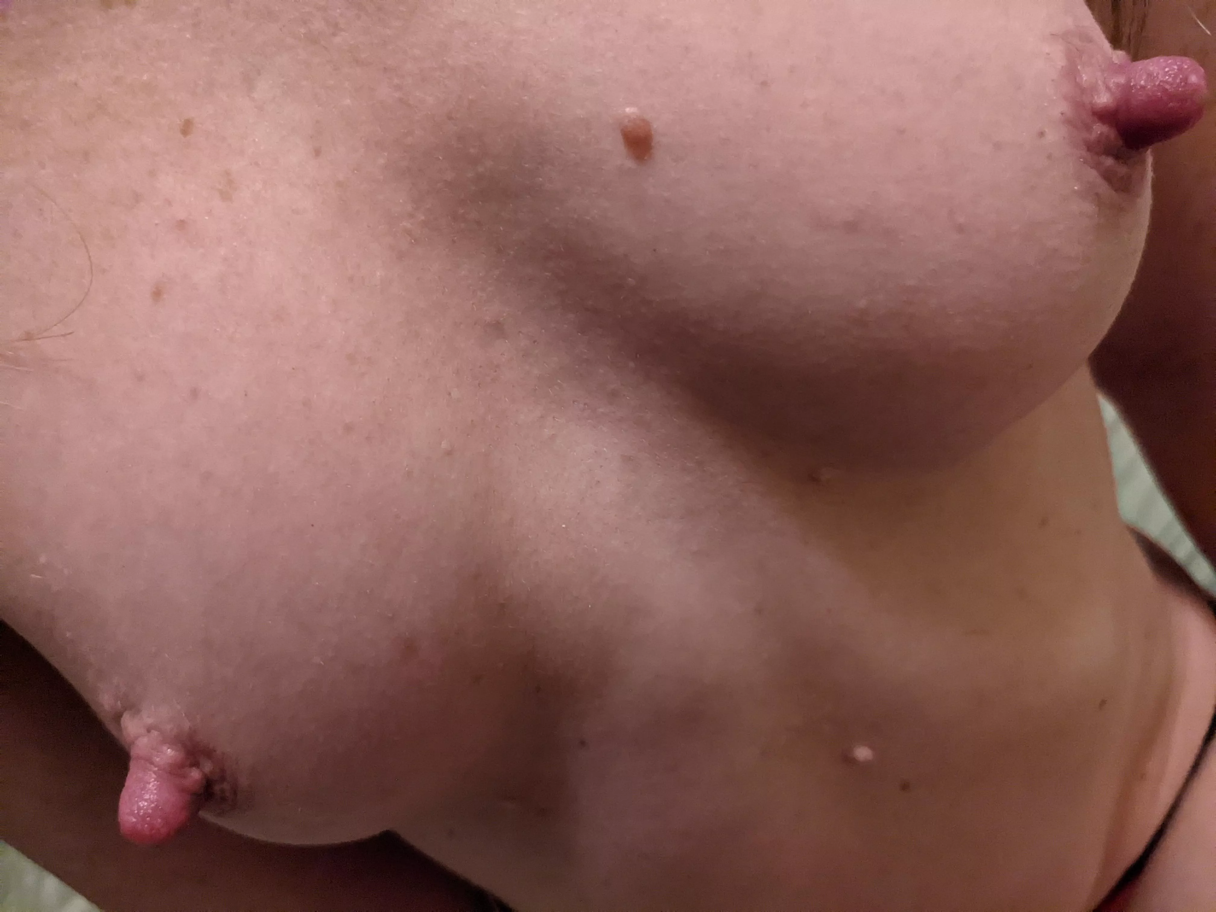 They're sweet like candy. Seriously. posted by Lacy_Lactlove