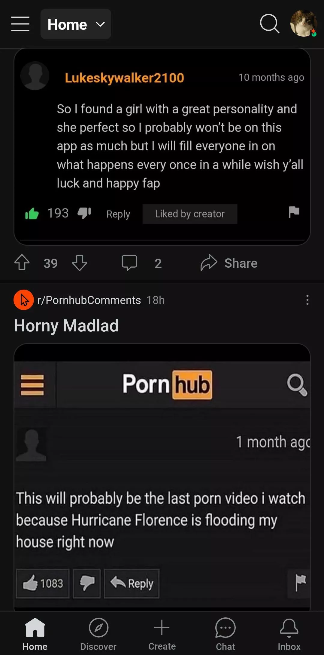 Two types of porn quitters posted by NecessaryTadpole7460