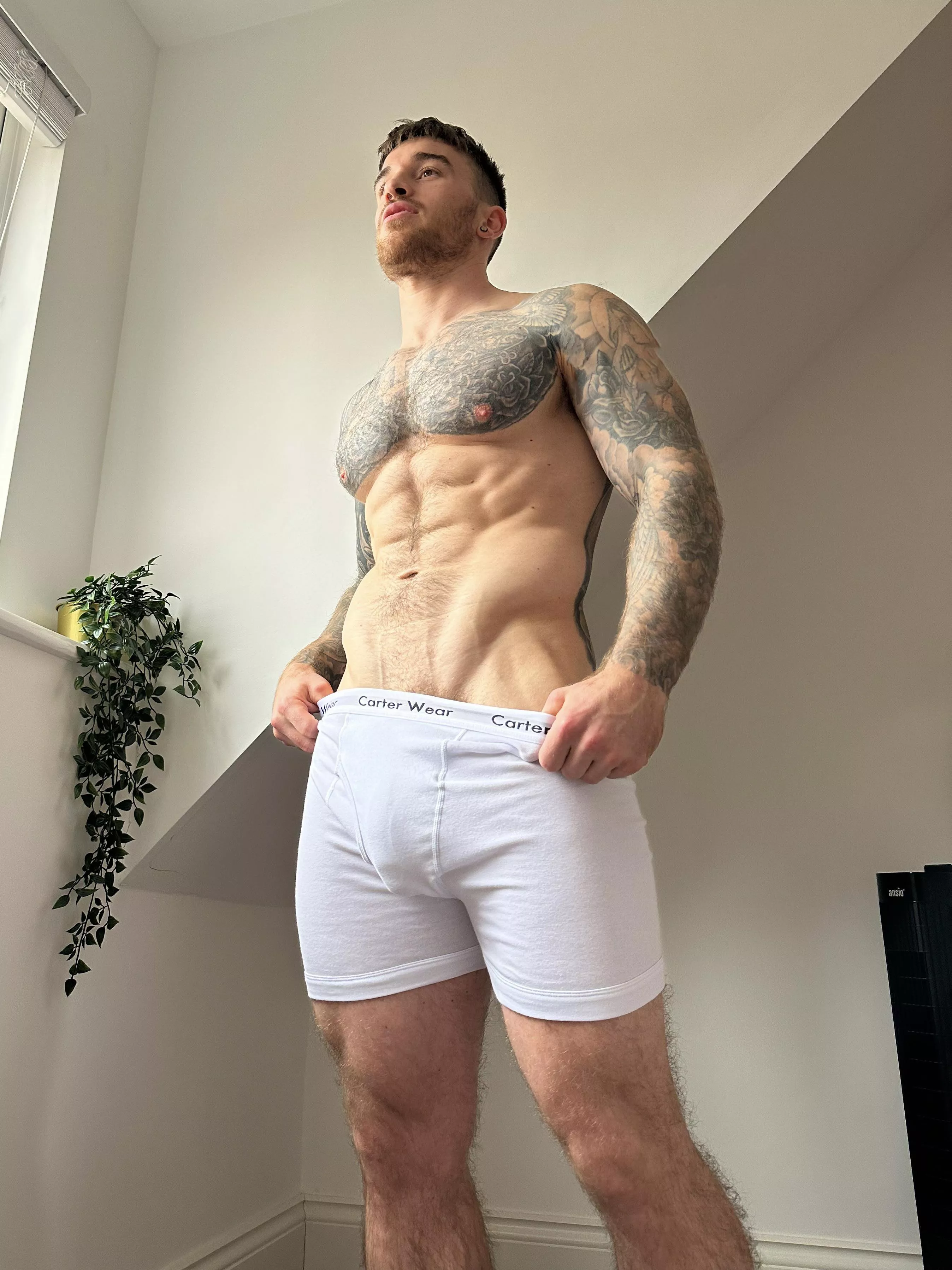 V line lovers 😉 posted by Hatts_17