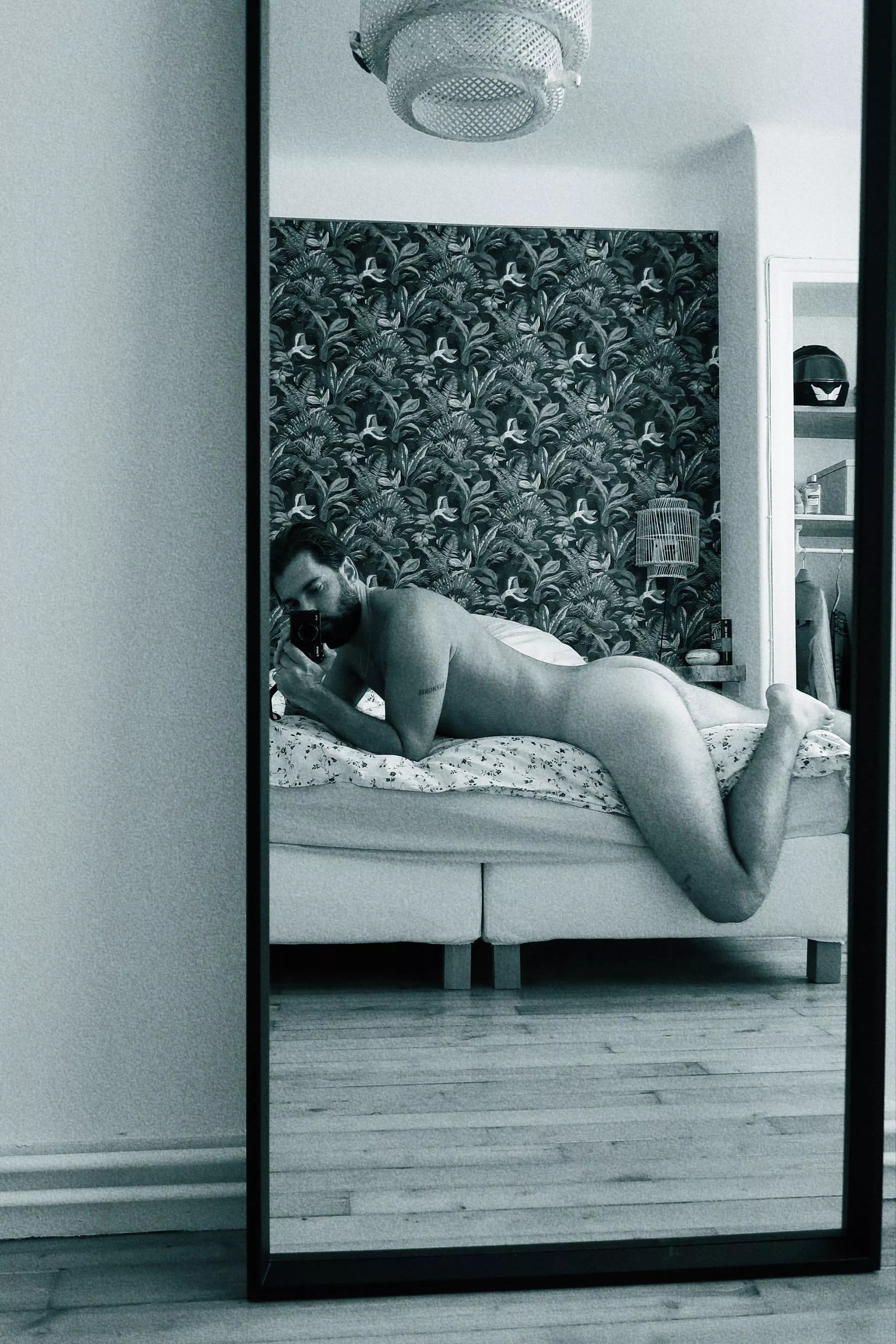 What would you do to me ? posted by AmorFrenchie