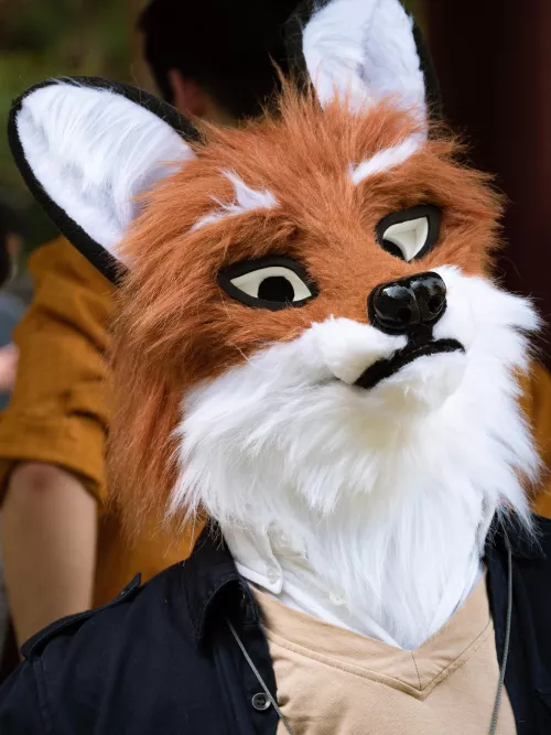 What, You've Never Seen a Fox Before? by skyhi14