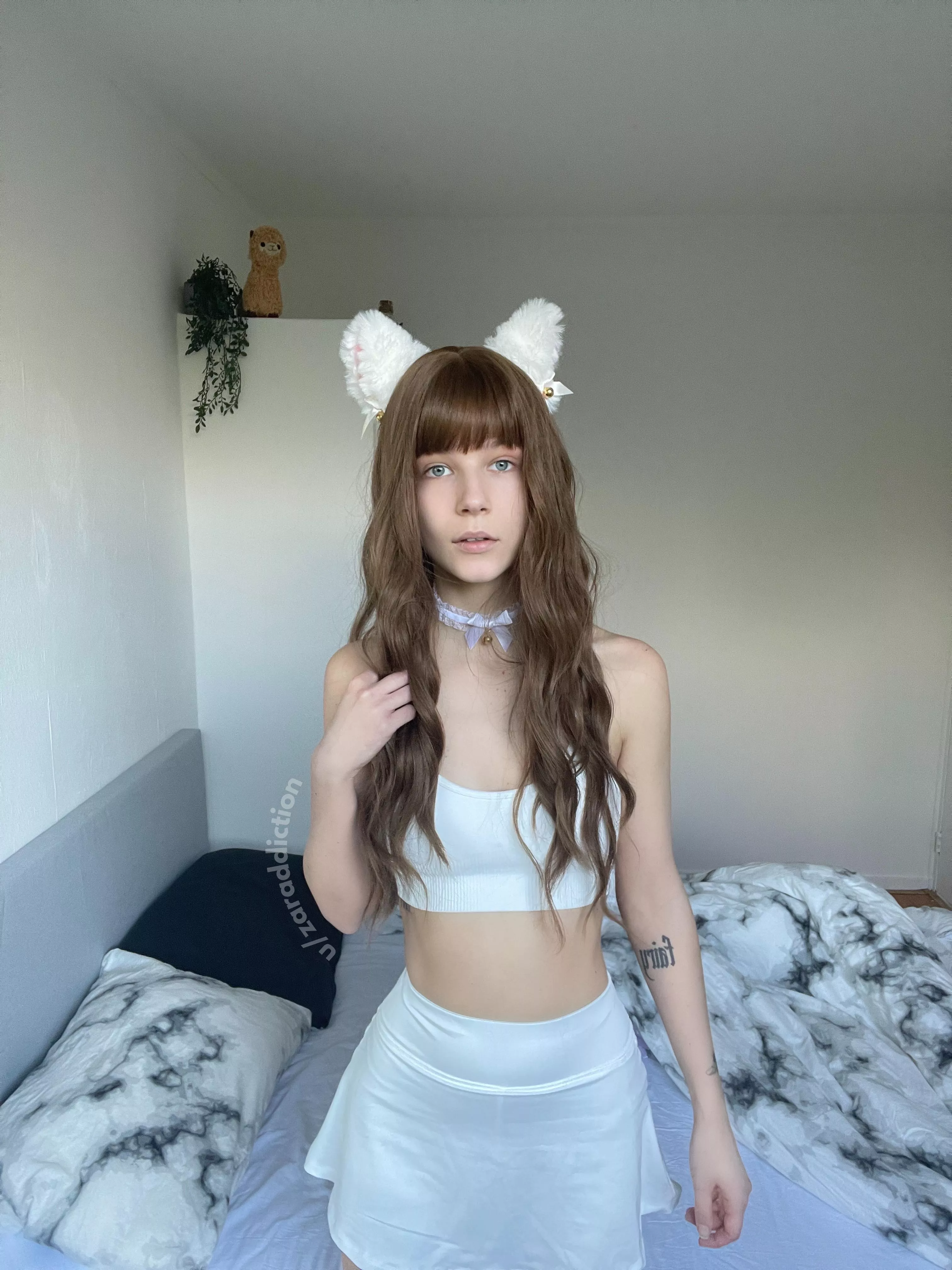 wishing you a purrfect & cozy sunday :3 posted by zaraddiction