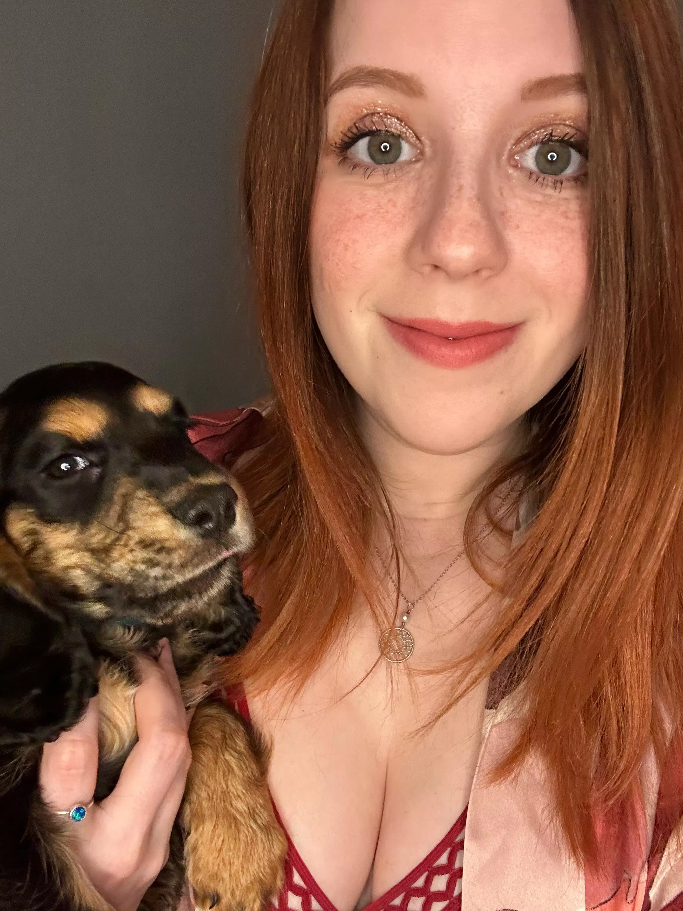 World, meet Hamish! [F] posted by snildeep