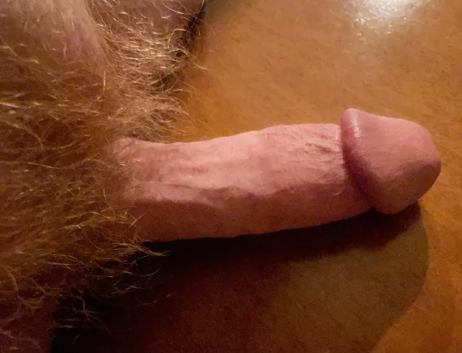 At the table… by Relevant_Junket6404