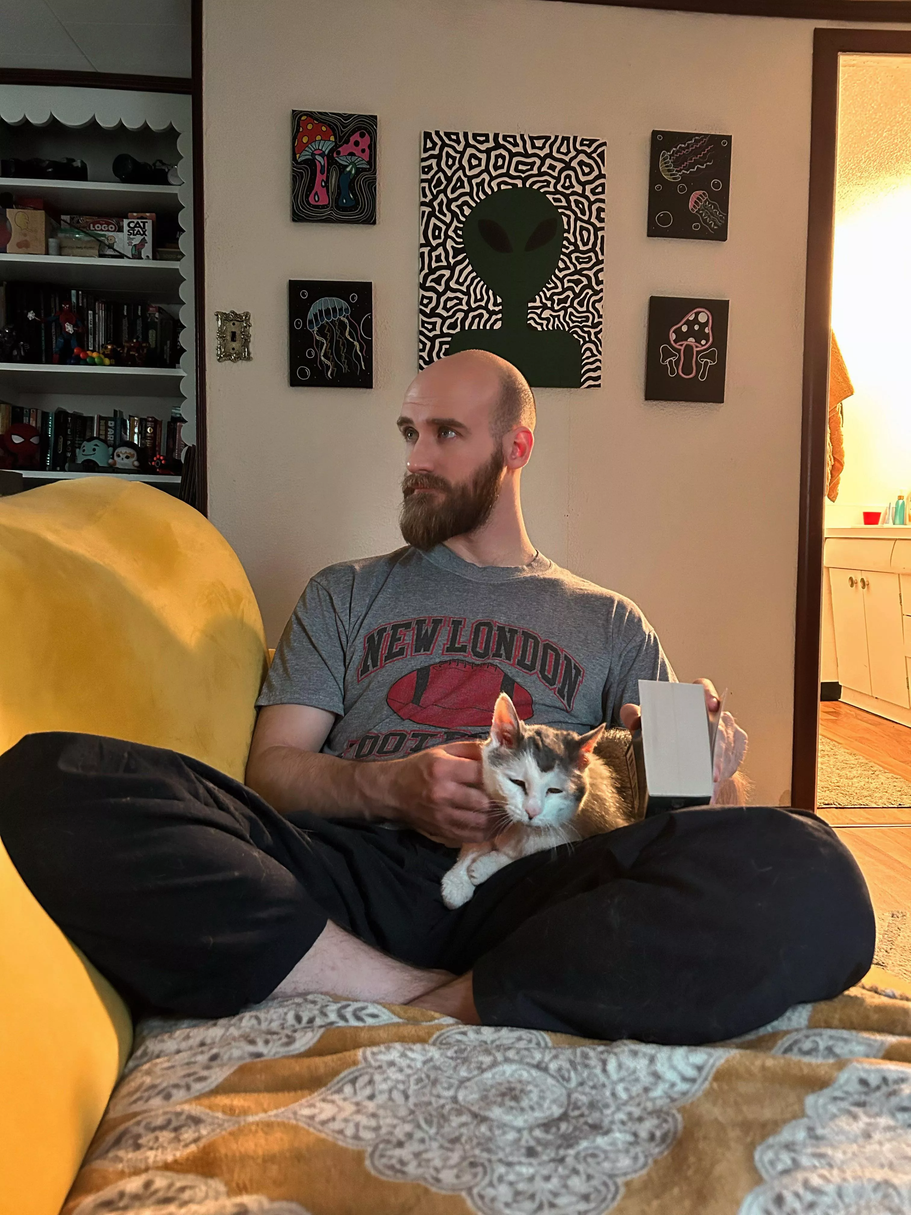 Books and kitties ❤️ posted by MrBabaFeet