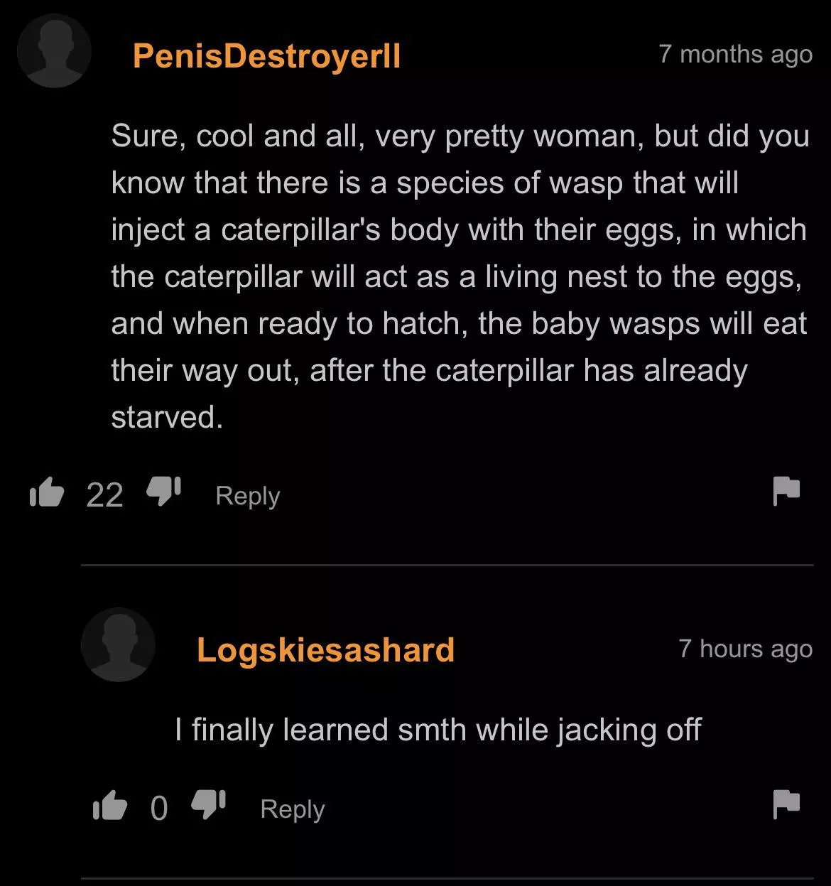 Bros the educator (Only Suggestive Language) posted by Sure_Bed_6095