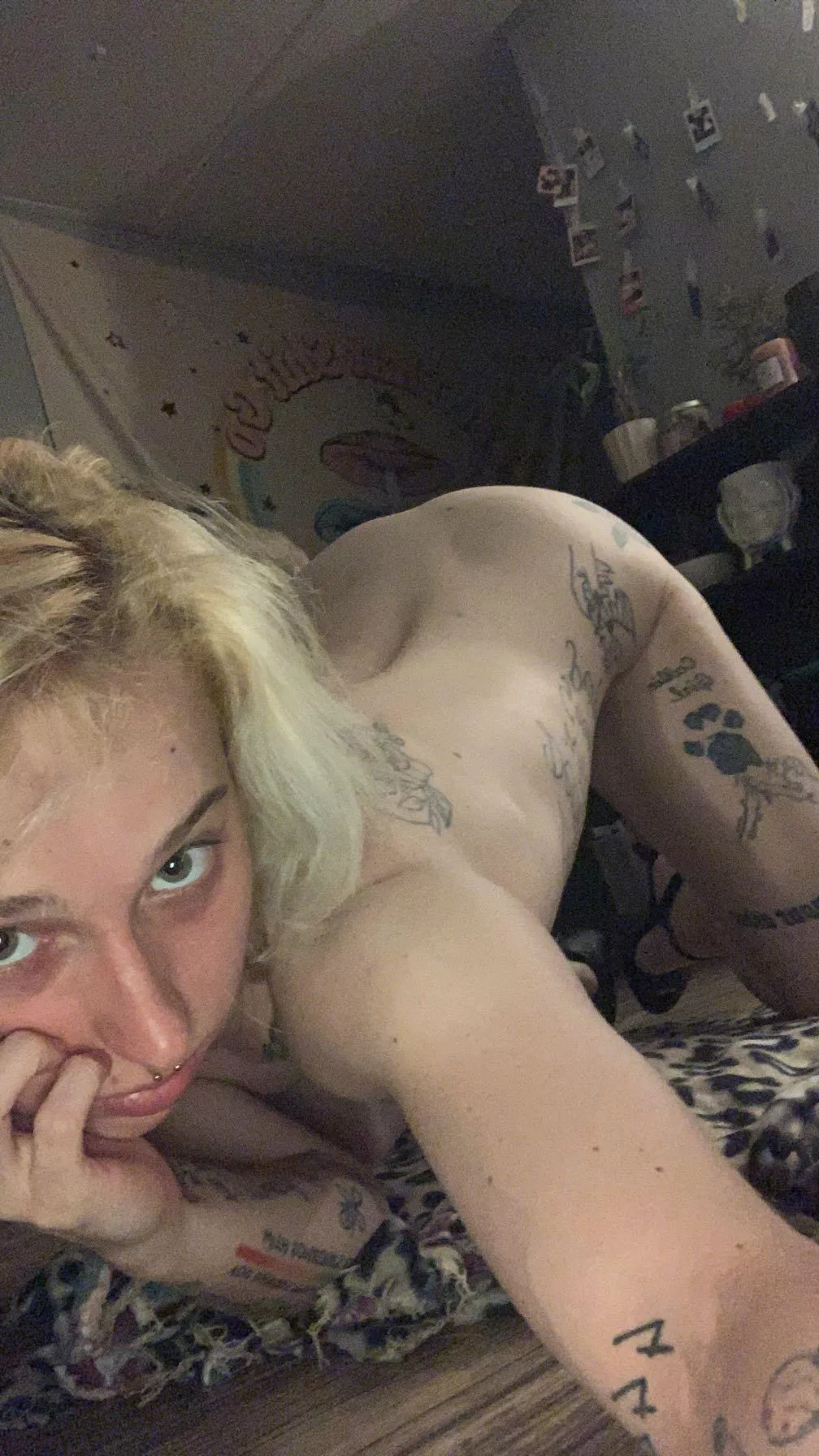 (f21) pretty arch posted by lunaatic69