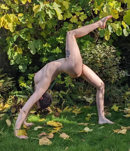 Frolicking in the garden by rottingcryptid