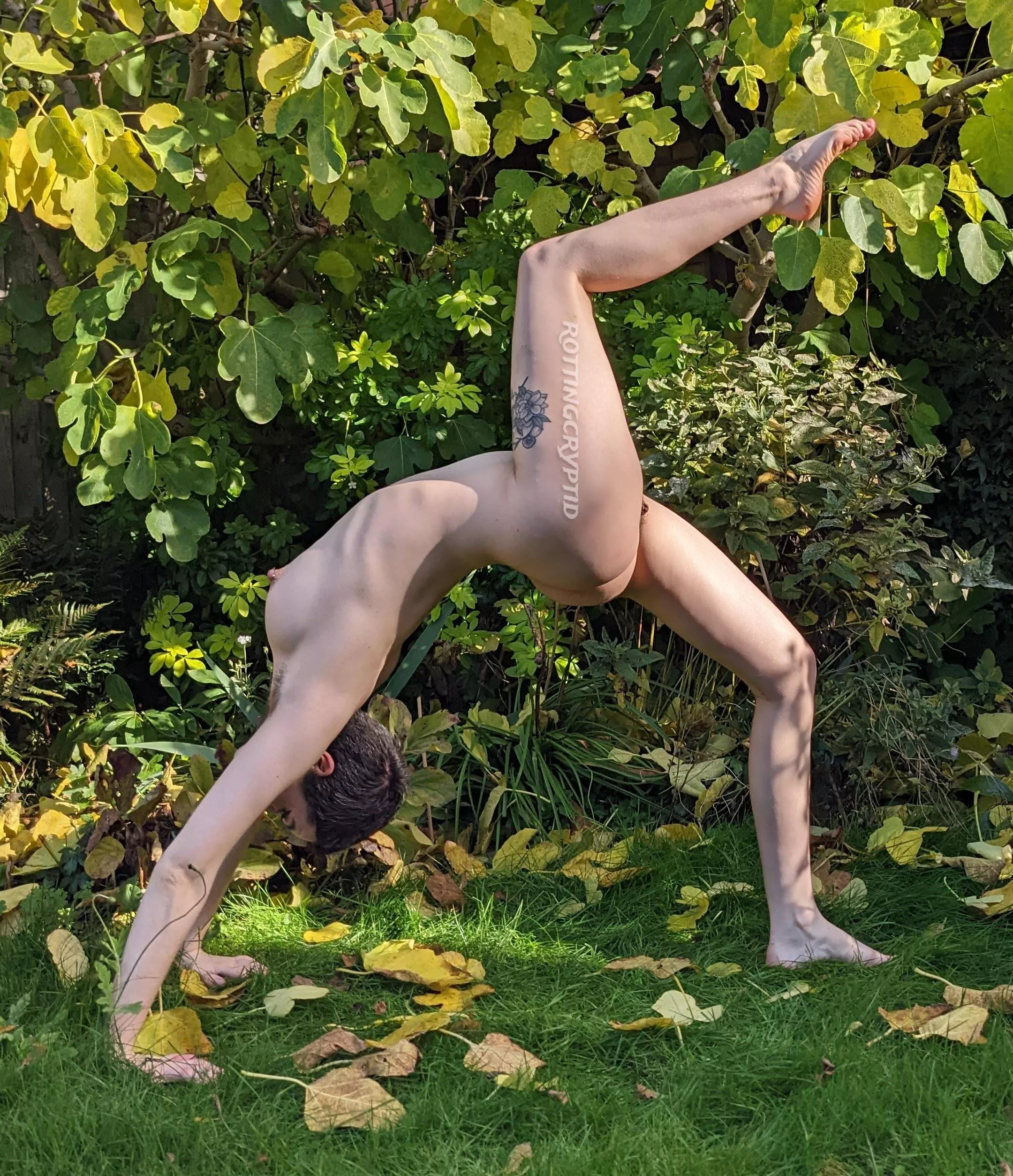 Frolicking in the garden posted by rottingcryptid