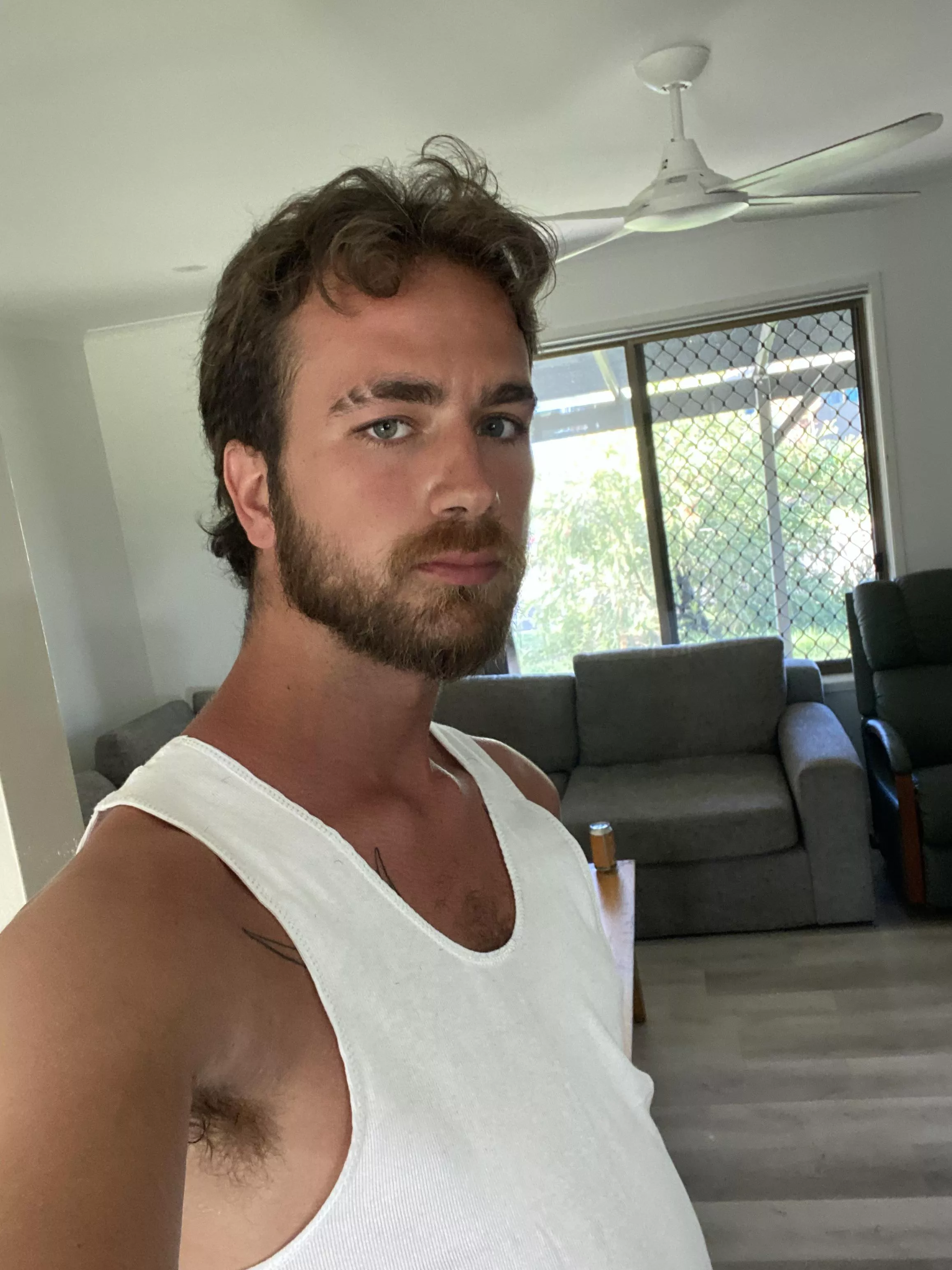 howdy 🤠 posted by WriterBeginning9491