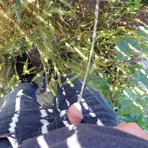 In my buddy's back yard by Homo_gone_wild