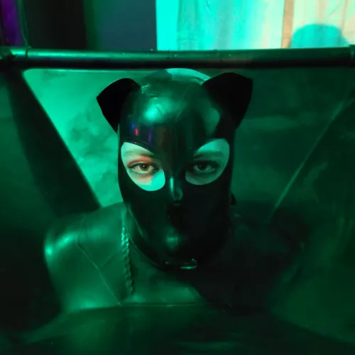 Kitty in a vacuum cube. by SnooCats2049