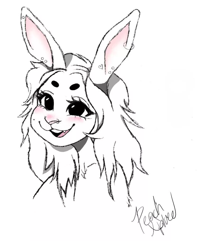 My fursona Dahlia ♡ posted by PeachXpired