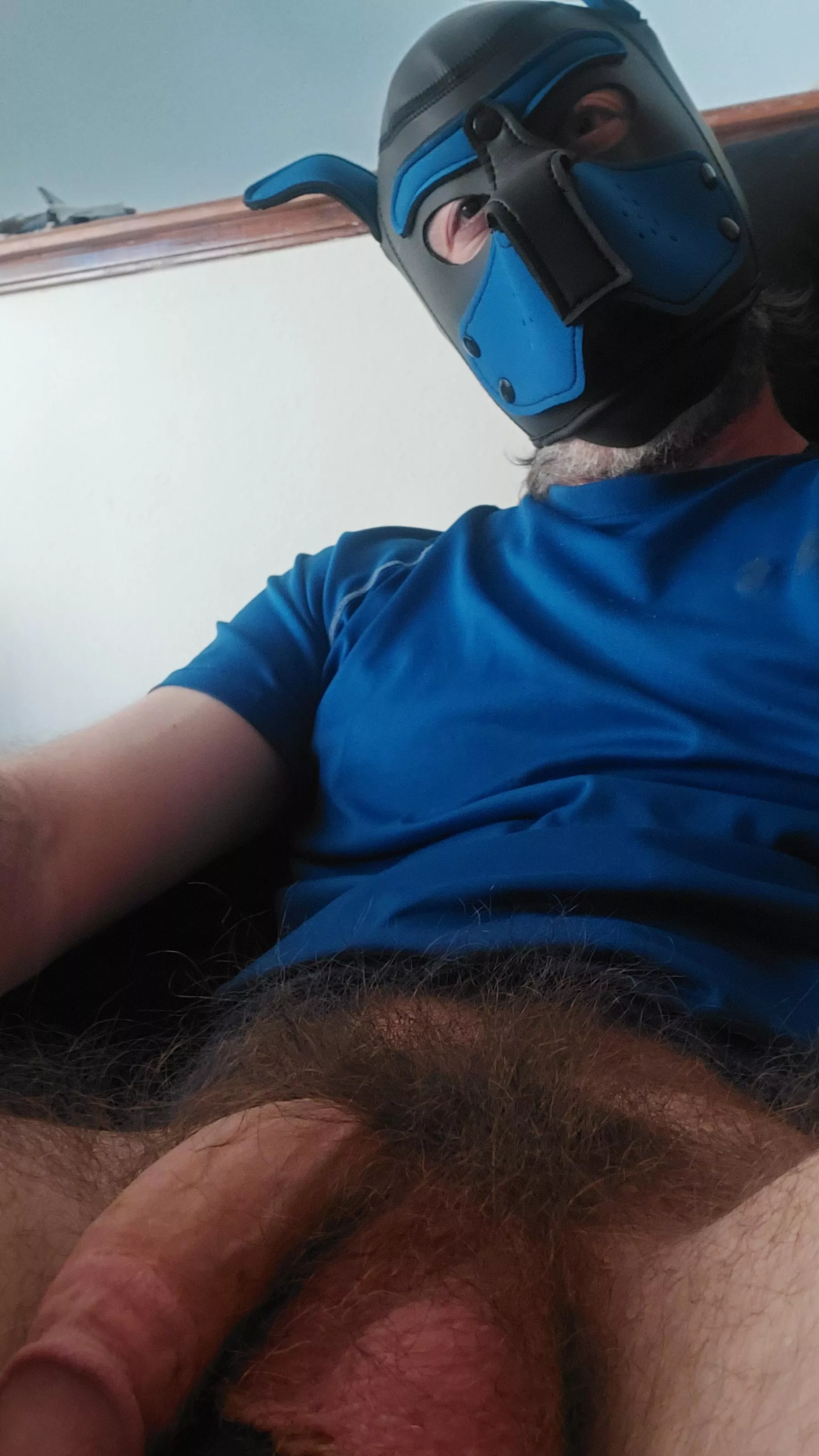 pup pubes posted by yaml5280